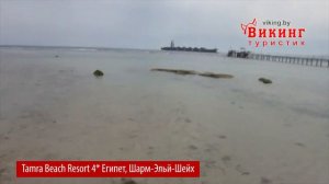 Tamra Beach Resort 4*  (Тамра бич резорт 4) Египет, Шарм-Эль-Шейх, Март 2017.