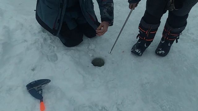 Стандартная ошибка смотреть онлайн
