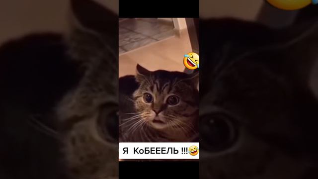 Нормально так калякает смотреть онлайн