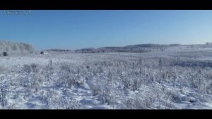 Охота на Косулю Загоном.