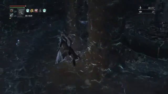 レアモブ探しの Bloodborne フード付きナイフ二刀流ガリこい смотреть онлайн