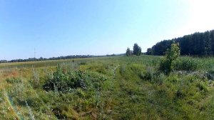 Ловля Крупного Леща на Поплавок с Берега