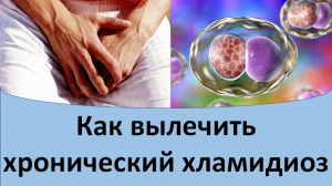 Как вылечить хронический хламидиоз.
