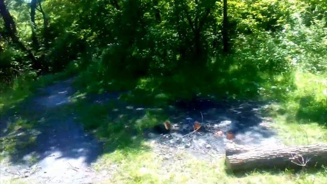 Детский канал. Поход с папой на рыбалку. Спасение соловья. смотреть онлайн