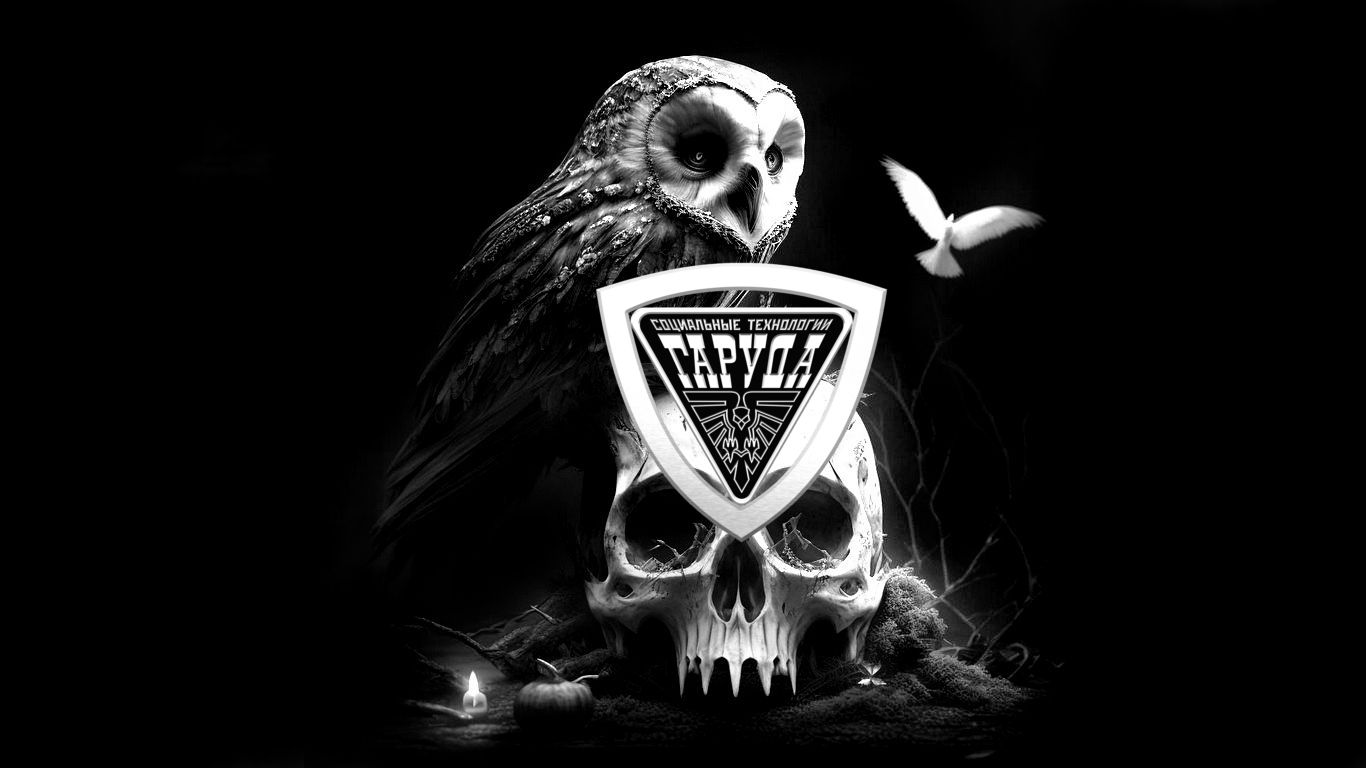 КОРОЛЕВСКАЯ БИТВА? смотреть онлайн