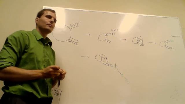 Q2 Biochem Wk2 - Tutor - Fatty Acid Synthesis! смотреть онлайн