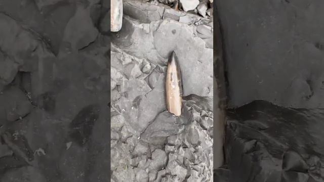 here's#😱😱(1) смотреть онлайн