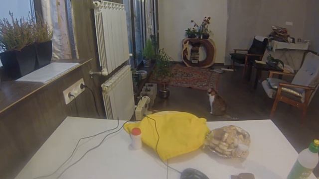 все просто | успешный ремонт usb порта и блютуз перередатчика мыши подручными средствами - суперкле смотреть онлайн