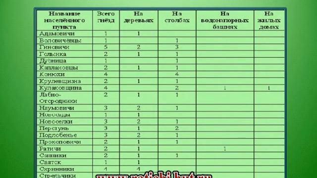 Изучение гнездований аиста смотреть онлайн