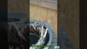 Как вывести остальные три конца электродвигателя , для подключения треугольником .