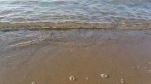 Отель "Колибри"  Алания Авсаллар//ОБЗОР