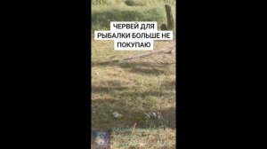 Рыбалка. Насадка для рыбалки.