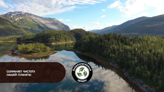 Древесный наполнитель CAT STEP Wood Original смотреть онлайн