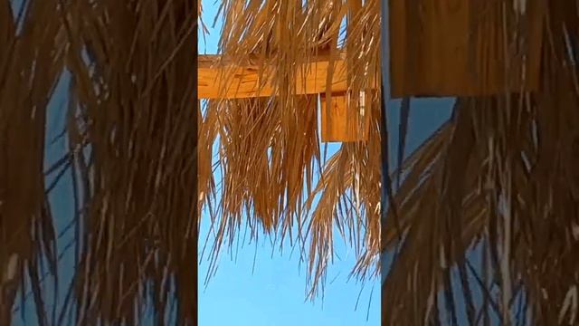 Orange Bay der Hotspot bei Hurghada ? смотреть онлайн