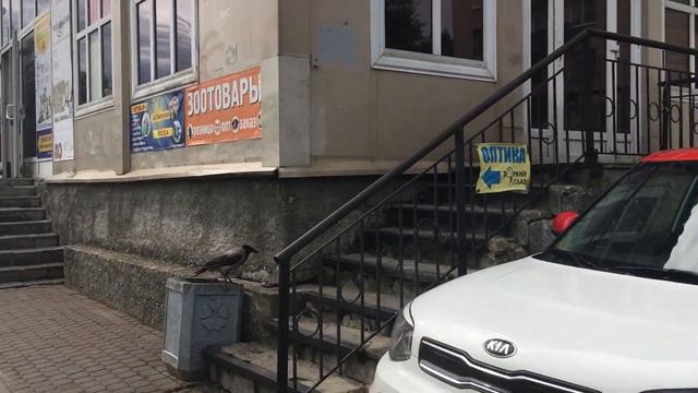 Прюша, повторные анализы удивили. смотреть онлайн