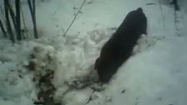 Ясон смотреть онлайн