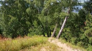 Рыбалка с берега на р. Волга со спиннингом, д. Шалдово. Очень хочу лодку!!!