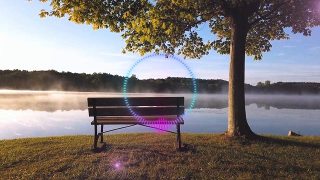 24 ноября: Эти слова спасут в любой ситуации | Лунный Календарь смотреть онлайн