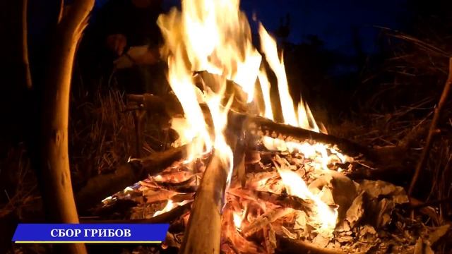 РЫБАЛКА НА КАРПОВОМ ОЗЕРЕ С НОЧЕВКОЙ июльская РЫБАЛКА в плохую погоду смотреть онлайн