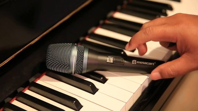 Relacart SM-300 Review