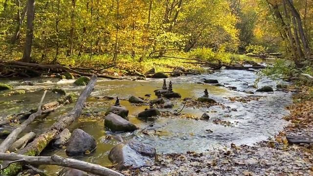Тропа 5 километров. Кафе над Нерис. Осень смотреть онлайн