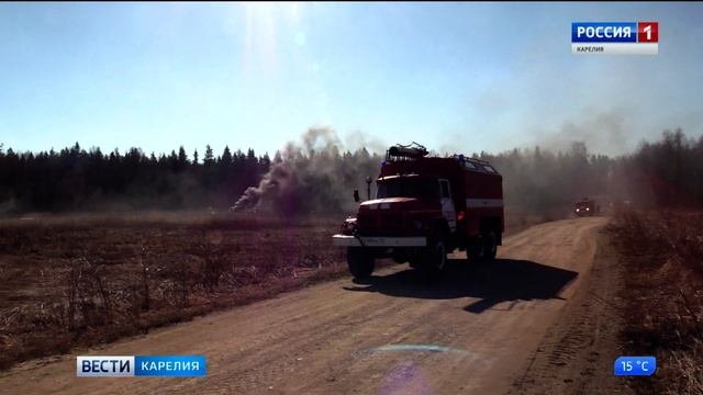 Дождливая погода в Карелии препятствует возникновению лесных пожаров смотреть онлайн