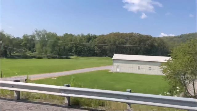 From Forest To Fireplace: My Firewood Delivery Experience