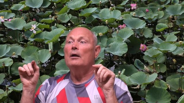 ЧИСТКА ПЕЧЕНИ. ПОСЛЕ 50. Малахов Геннадий. смотреть онлайн