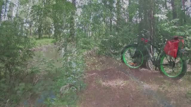 2018-06-10 - 85 км Светлая поляна