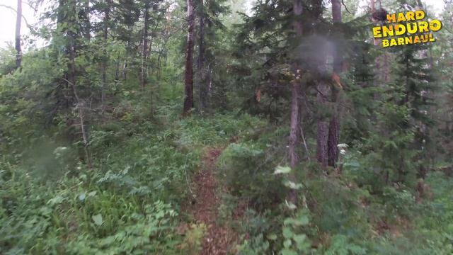 ВЫПУСК-1 ГОНКА "БУРЕЛОМ" | Красивые и интересные моменты трассы Gold | 2022 |#hardendurobarnaul смотреть онлайн