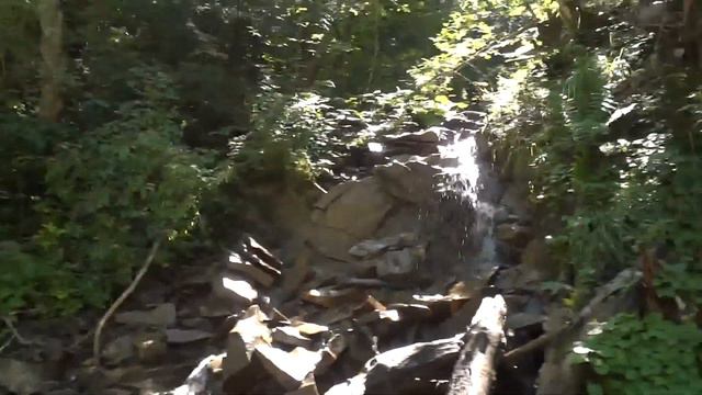 Рафтинг на реке Чёрный Черемош по низкой воде,31.07.2017,Карпаты,Украина смотреть онлайн