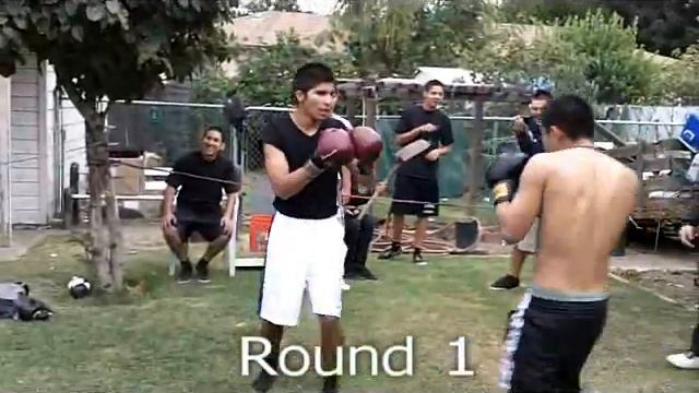 Taza Cup Boxing PART 1 смотреть онлайн