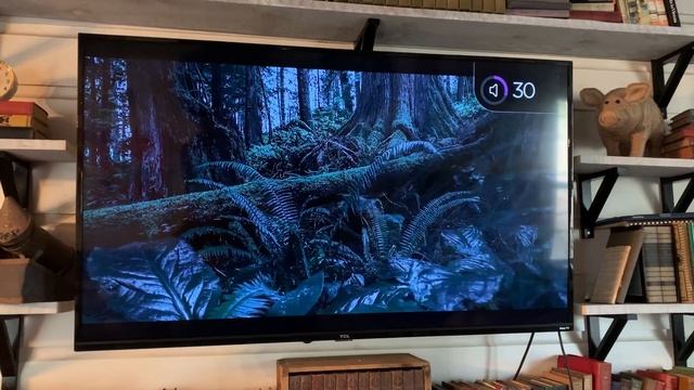 TCL 4 Series Roku Smart TV Review смотреть онлайн