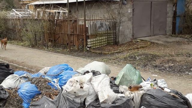 Куда жаловаться если не вывозят мусор? смотреть онлайн