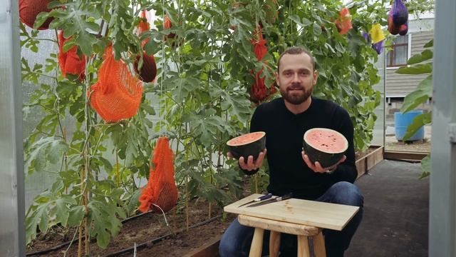 ВЫРАЩИВАЕМ АРБУЗЫ И ДЫНИ НА ДАЧЕ смотреть онлайн