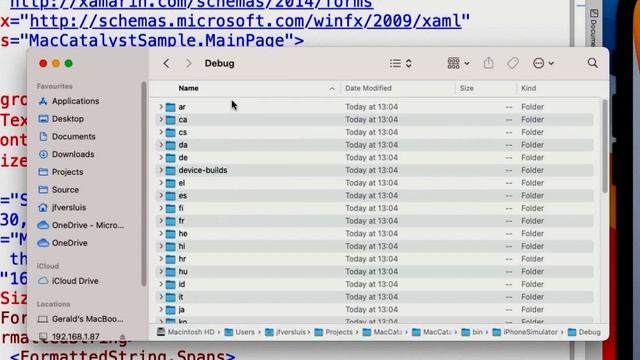 Create a macOS App From Your Xamarin.iOS App by Just Doing This ? смотреть онлайн