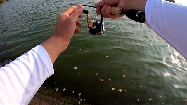 Телескопический Спиннинг РАЗЛОВЛЕН!!! Fishing Jehad 1,5 метра 2-7 г. смотреть онлайн