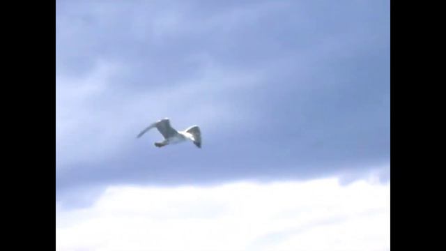 Евпатория. 2009г. Назад в прошлое. Наша вторая поездка в Крым. смотреть онлайн