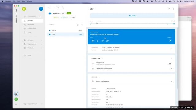 Using Docker to demo new device registration, services, tags and connection graph - Remote.It смотреть онлайн