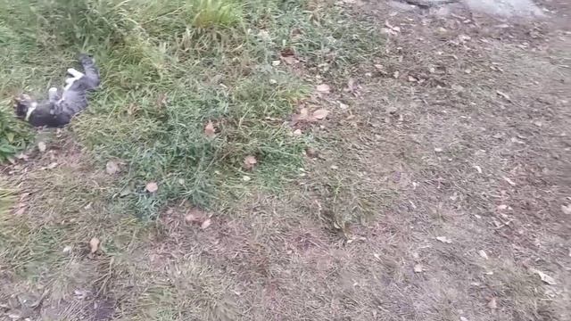 ПРОВОЖАЕМ ПАПУ//СЛОВА БЛАГОДАРНОСТИ РОДИТЕЛЯМ// смотреть онлайн