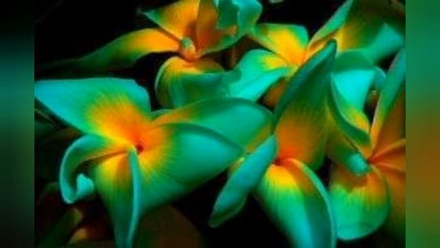С Днём Рождения! ☀️ Поздравление с днем рождения! смотреть онлайн