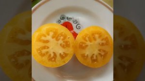 Томат серии Гном СЛАДКАЯ СЬЮ.Дынный привкус!