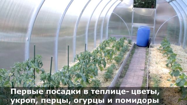 Обзор теплицы "Воля" "Сигма-Ц" на дачном участке. смотреть онлайн