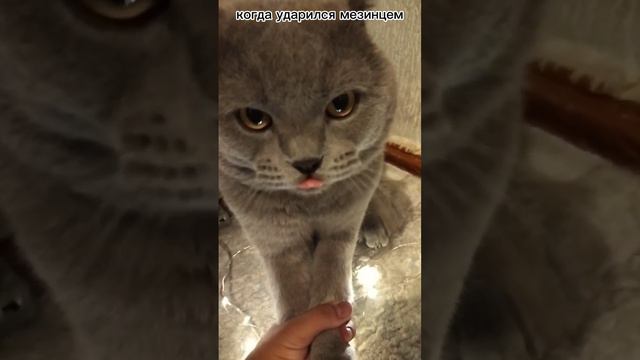 ай больно в ноге смотреть онлайн