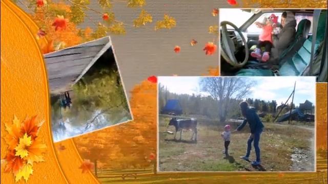 Елизаветинка 2017 внучка в гостях смотреть онлайн