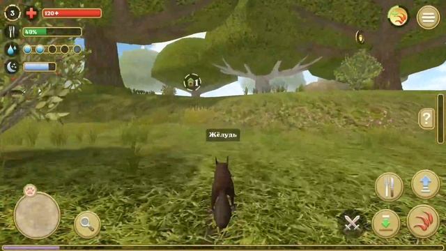 СИМУЛЯТОР БЕЛКИ 2 ОНЛАЙН НА АНДРОИД ОБЗОР SIMULATOR SQUIRREL 2 ONLINE ANDROID GAMEPLAY смотреть онлайн