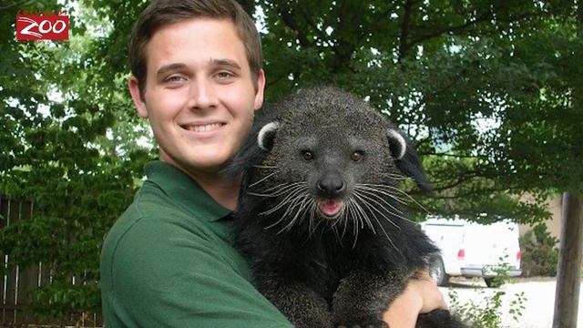 Becoming a Zoo Vet – Dr. Jimmy Johnson Interview смотреть онлайн