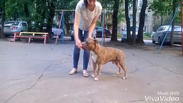 Arte Vilana Onix, 21 months смотреть онлайн