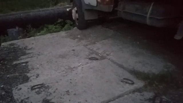 Ёжик в центре города Тулы. смотреть онлайн
