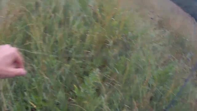 Рыбалка на щуку. Клёв после дождя, клюёт крупная рыба на спиннинг смотреть онлайн